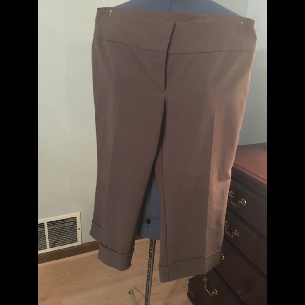 Vanity cropped pants